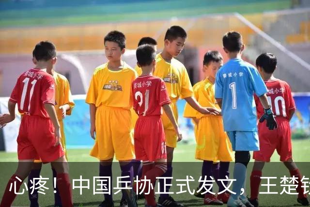 心疼！中国乒协正式发文，王楚钦新决定，球迷不安，孙颖莎奔赴